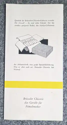 Prospekt Chicoree aus Belgien alter Broschüre das Gericht der Feinschmecker