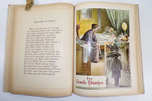 Aus des Lebens Mai Steinkamp und Voigt um 1900  Kinderbuch