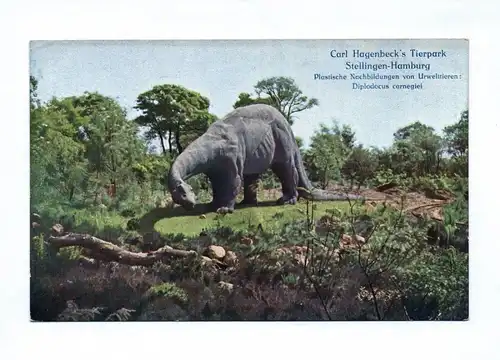 Ak Carl Hagenbecks Tierpark  Stellingen Hamburg Nachbildung Diplodocus carnegiei