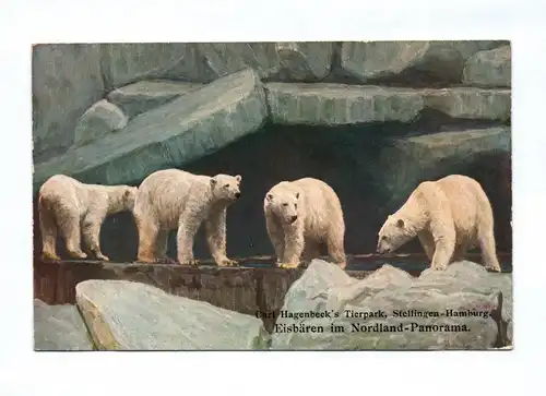 Ak Carl Hagenbecks TIerpark Stellingen Eisbären Nordland Panorama