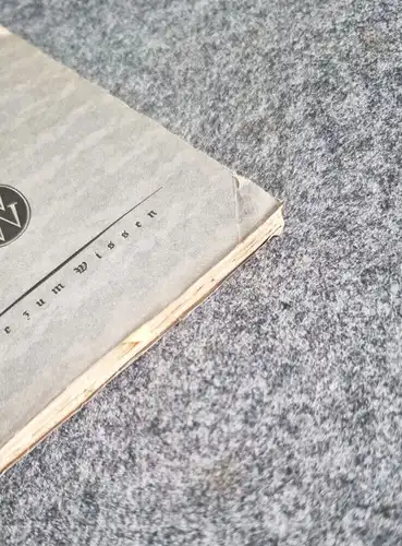 Buch Der moderne Sozialismus 1919 altes Buch Dr Ludwig Quessel