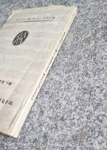 Buch Der moderne Sozialismus 1919 altes Buch Dr Ludwig Quessel