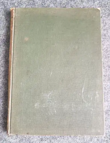 Die Schmierung leichter Verbrennungsmotoren 1920 altes Buch