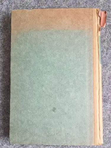 Die Welt von der Kehrseite Alexander Moszkowski 1920 altes Buch