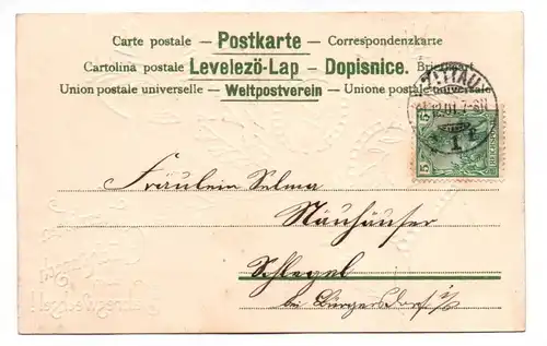 Neujahrguss Ak 1902 Jahreswechsel Tannenzweig 