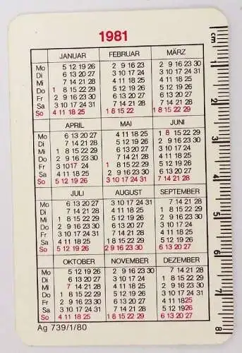 Taschenkalender VEB Energie Kombinat Dresden 1981 DDR