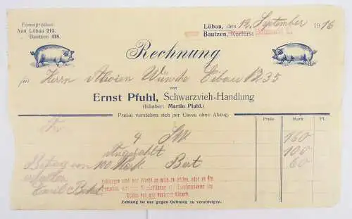 Litho Rechnung Schweine Sau Pfuhl Schwarzvieh Handlung Löbau 1916