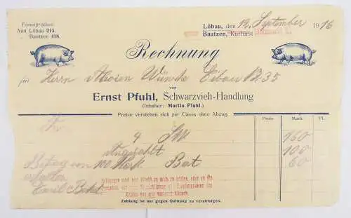 Litho Rechnung Schweine Sau Pfuhl Schwarzvieh Handlung Löbau 1916 