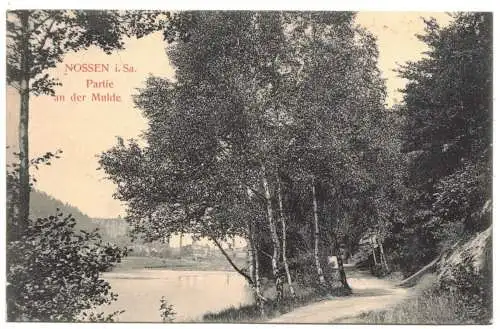 Ak Nossen i. Sa. Partie an der Mulde 1914  (A4535