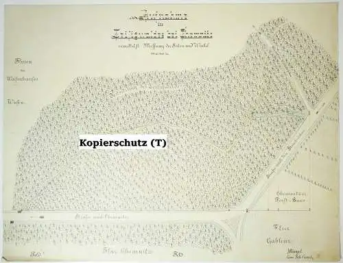 Technische Handzeichnung Zeisigwald bei Chemnitz Flurkarte Zeichnung 1900er Deko
