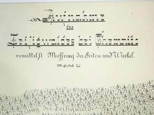 Technische Handzeichnung Zeisigwald bei Chemnitz Flurkarte Zeichnung 1900er Deko