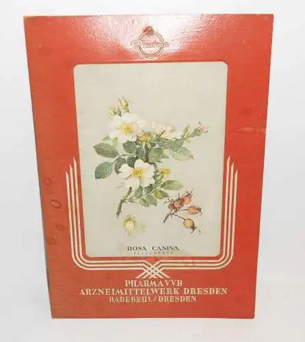 Altes Reklame Pappschild Pharma VVB Arzneimittelwerk Dresden Heckenrose 1940/50