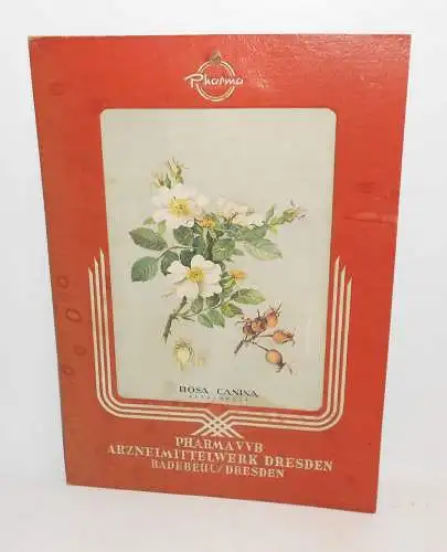 Altes Reklame Pappschild Pharma VVB Arzneimittelwerk Dresden Heckenrose 1940/50