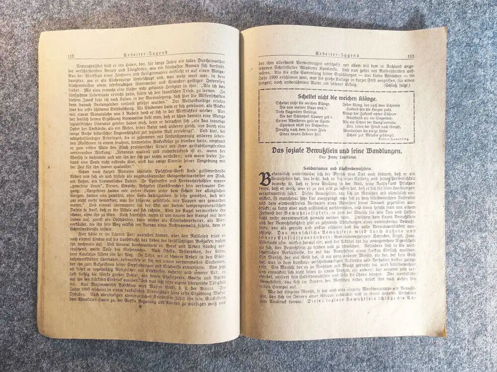 Arbeiter Jugend Heft 7 Juli 1923 Auf nach Nürnberg 15 Jahrgang