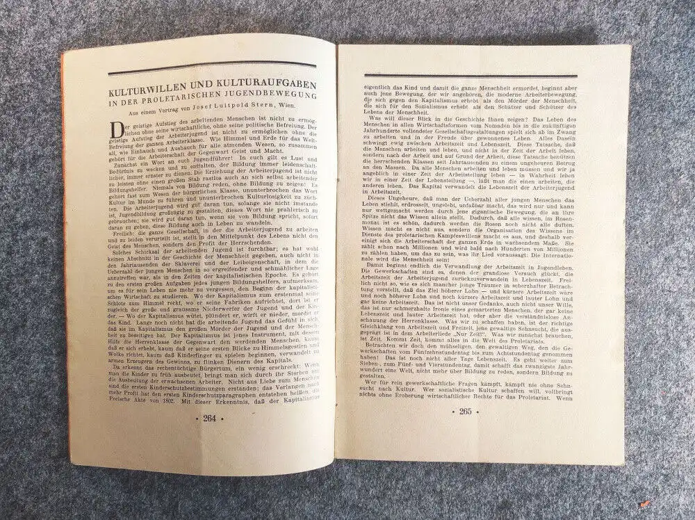 Jung sozialistische Blätter 7 Jahrgang Heft 9 September 1928