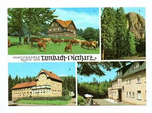 Ak Wanderziele Rund um Berghotel Falkenstein 1967