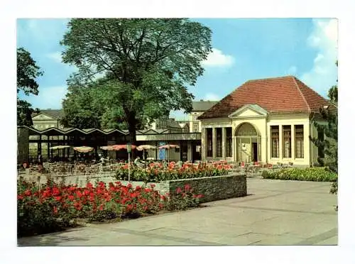 Ak Dessau Gaststätte Teehäusschen 1969