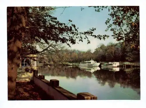 Ak Halle Saale Sallepartie Boote Schiffe am Wasser 1967