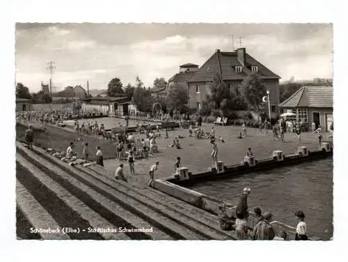 Ak Schönebeck Elbe Städtisches Schwimmbad 1963