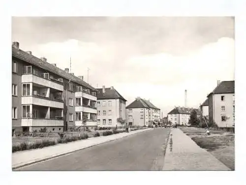 Ak Schönebeck Elbe Neustadt Krausestraße 1966 Echtfoto