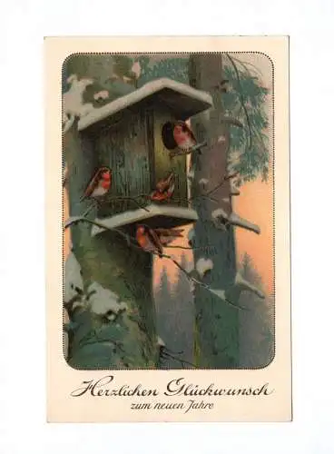 Ak Herzlichen Glückwunsch zum neuen Jahre Winter Rotkehlchen im Vogelhaus Wald