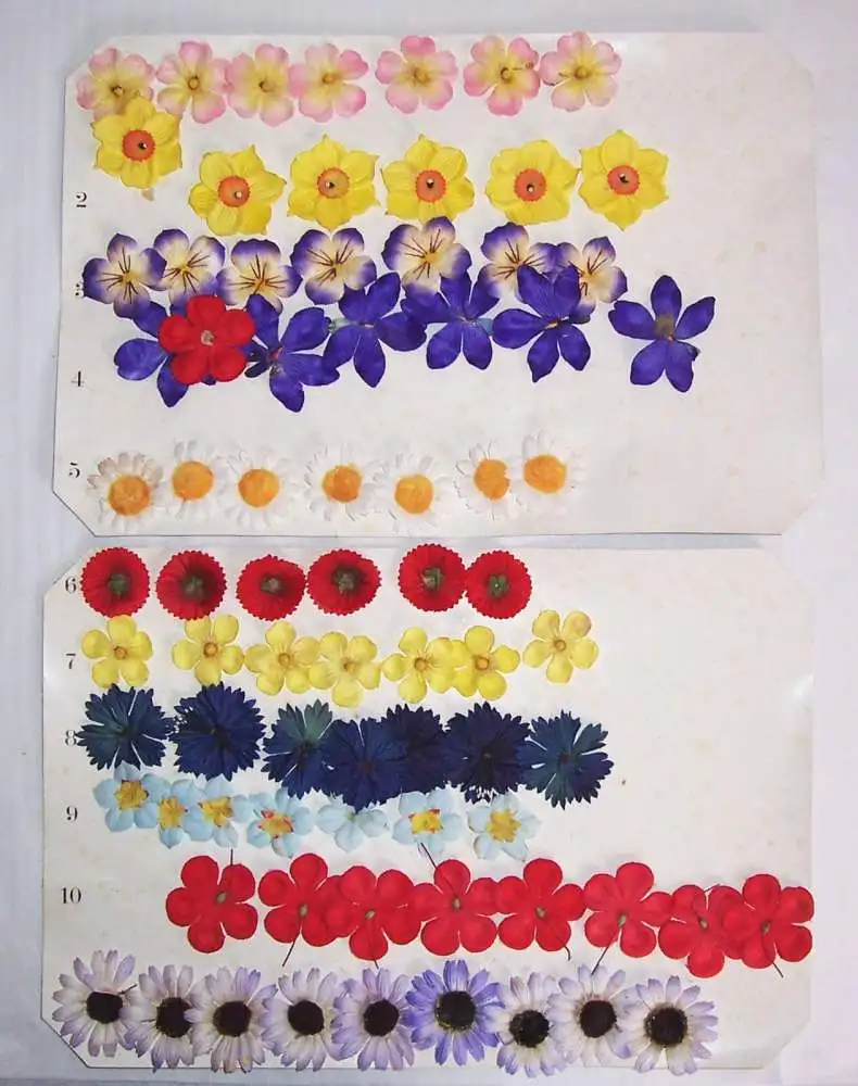 Hold Blumenspiel um 1930er 1940er Jahreszeiten Legespiel  selten  3