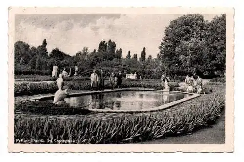 Ak Erfurt Partie im Stadtpark 1947