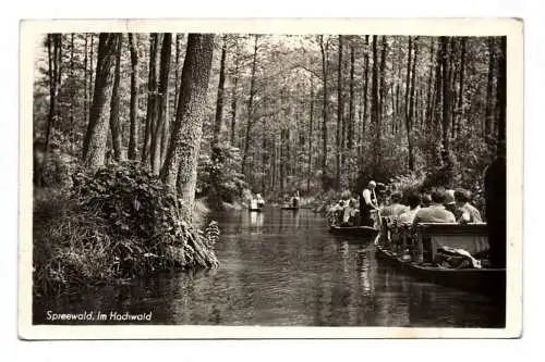 Ak Spreewald im Hochwald 1953 Menschen mit Booten auf dem Fluss