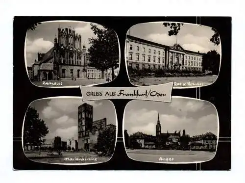 Ak Gruss aus Frankfurt Oder Rathaus Marienkirche 1965