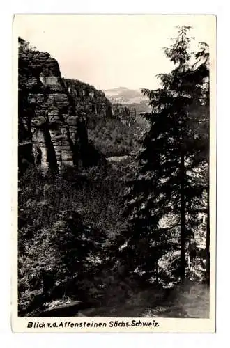 Ak Blick von dem Affenstein Sächsische Schweiz 1967