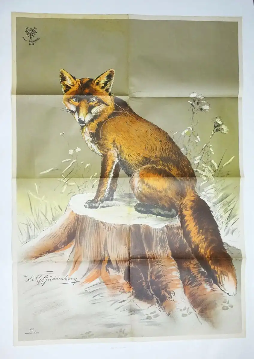 Alte DJV Plakat Poster Fuchs Buddenberg sign. Print Sammler Jäger Schießscheibe 0