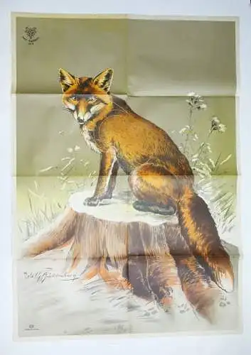 Alte DJV Plakat Poster Fuchs Buddenberg sign. Print Sammler Jäger Schießscheibe