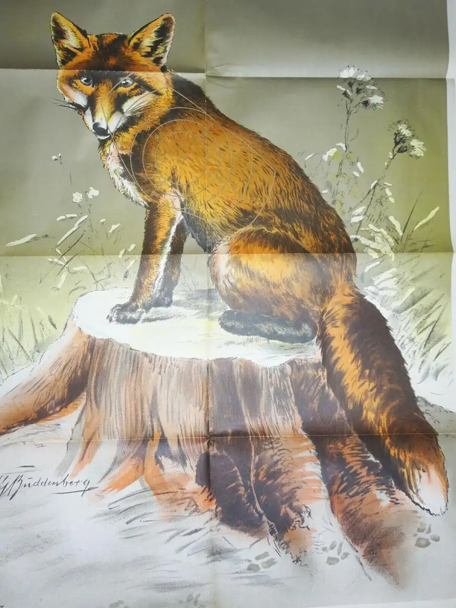 Alte DJV Plakat Poster Fuchs Buddenberg sign. Print Sammler Jäger Schießscheibe 6