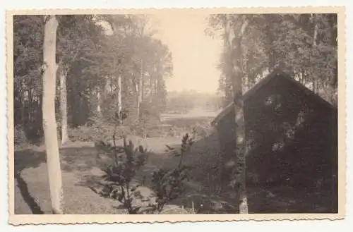 Foto Ak Schreibstube im Wald bei Beaufort France 1940 WW2 ! (F2175