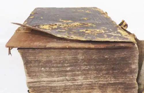 Bibel heilige Schrift Martin Luther 1703 Ledereinband