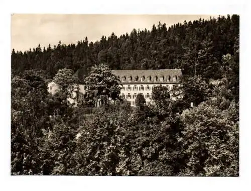 Foto Ansichtskarte Staatbad Bad Elster Schillergarten Echtfoto