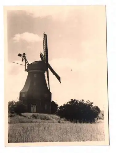 Foto Graal Müritz Windmühle
