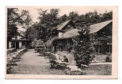 Ak Domholzschänke bei Gundorf Böhlitz Ehrenberg Leipzig 1944 Feldpost Cottbus