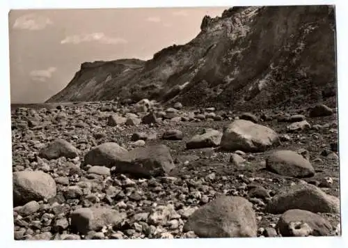 Ak Ostsee Insel Hiddensee NW Seite am Dornbusch 1962