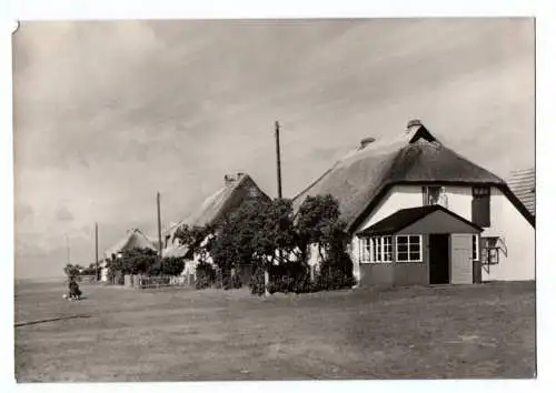 Foto Ak Insel Hiddensee Neuendorf Foto Bild und Heimat Darr 1964 Häuser