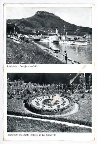Ak Königstein Dampferlandestelle Raddampfer Elbe Blumenuhr 1930er