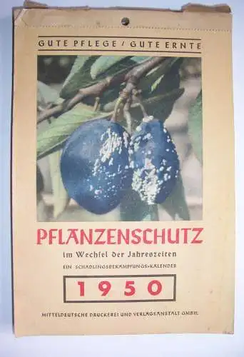 Alter Kalender Pflanzenschutz im Wechsel der Jahreszeiten 1950 Garten Gärtner
