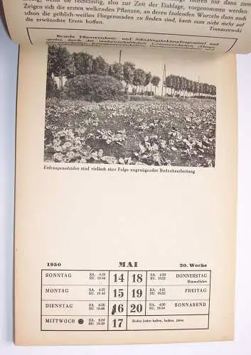 Alter Kalender Pflanzenschutz im Wechsel der Jahreszeiten 1950 Garten Gärtner