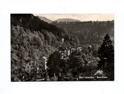 Ak Bad Schandau Bad Allee 1960