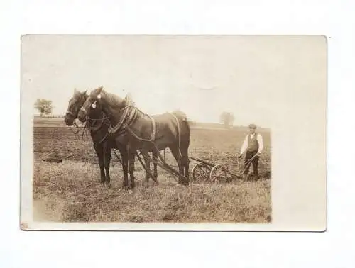 Ak Man auf dem Feld mit zwei Pferden am Pflug