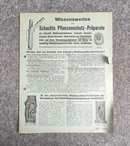 Altes Infoblatt Prospekt Wissenswertes über Schachts Pflanzenschutz Präparate