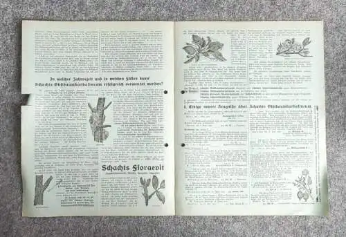 Altes Infoblatt Prospekt Wissenswertes über Schachts Pflanzenschutz Präparate