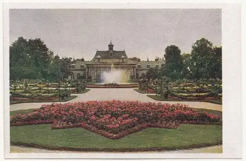 Ak Schloss Pillnitz Park Teilstück Druckfarbenfoto Nr. 170 um 1950 (A3166