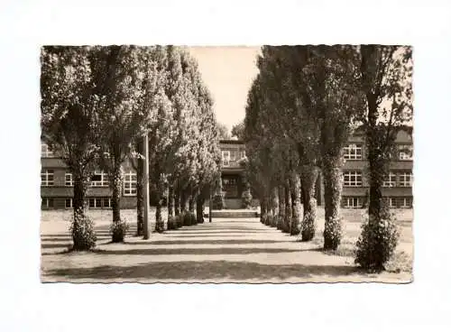 Ak Welzow Niederlausitz Puschkinschule 1959