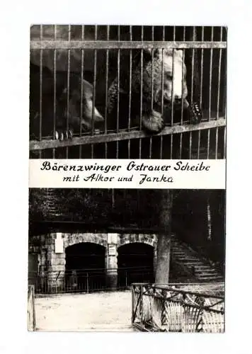 Ak Bärenzwinger Ostrauer Scheibe mit Alkor und Janka 1961 Bad Schandau